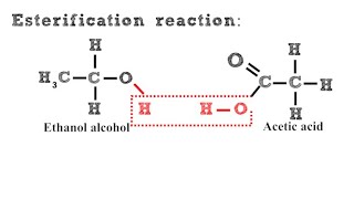 Esterification Reaction [upl. by Bishop]