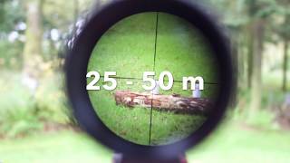 Weihrauch HW35 cal177  Fantastic air rifle 50m shoot [upl. by Giamo114]