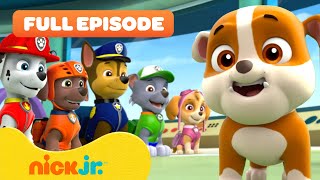 Rubble Joins the PAW Patrol and the Pups Save a Walrus  FULL EPISODES  Nick Jr [upl. by Janifer]