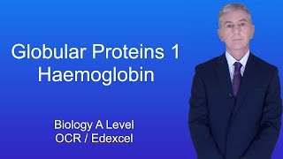 A Level Biology Revision quotGlobular Proteins 1 Haemoglobinquot [upl. by Katharyn]