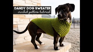 Dandy Dog Sweater Companion Video Free Crochet Pattern [upl. by Kania678]