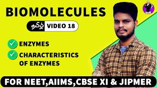 Enzymes amp their characteristics  Biomolecules in Tamil 18 [upl. by Nywloc]