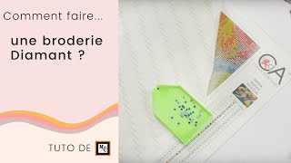 Comment faire une broderie Diamant Diamond painting 💎   Tuto La Maison du Canevas [upl. by Oisorbma]