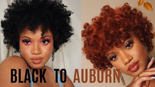 HOW I WENT FROM BLACK TO AUBURN [upl. by Eltsyrc]