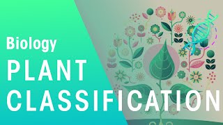 Plant Classification  Evolution  Biology  FuseSchool [upl. by Gibbie703]