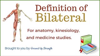 Bilateral Definition Anatomy Kinesiology Medicine [upl. by Gaw]