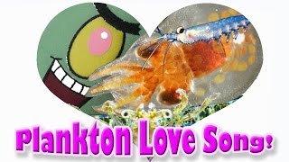 Plankton Love Song phytoplankton zooplankton ocean food chain for kids [upl. by Linad697]