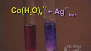 Cobalt Complex Ion Equilibrium  LeChateliers Principle Lab Part 3 [upl. by Eiraminot]