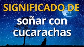 Qué significa soñar con cucarachas 💤 Interpretación de los Sueños [upl. by Ynnub564]