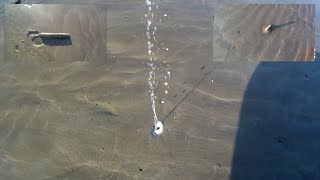 Collecting Razor Fish  Clam  How to Find the Burrows [upl. by Bisset209]