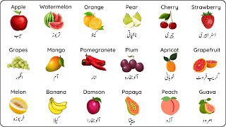 Fruits Name In English And Urdu  پھلوں کے نام  Phalon Ke Naam [upl. by Collum]