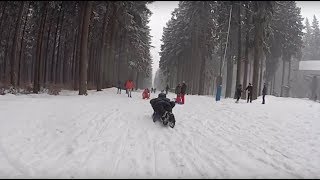 Rodelbahn an der Wurmbergseilbahn Braunlage im Harz [upl. by Batsheva]