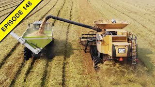 2020 California USA Rice Harvest  Tractor Video [upl. by Sander39]