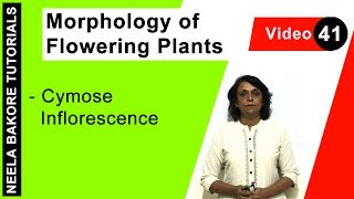 Morphology of Flowering Plants  NEET  Cymose Inflorescence  Neela Bakore Tutorials [upl. by Eramal]