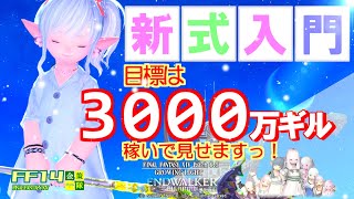 【FF14 金策】目標3000万ギル、ここ最近の鬱憤を晴らしたい！ [upl. by Princess303]