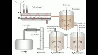 Process of Fermentation [upl. by Hall]