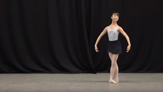 Insight Ballet Glossary  Petit allegro [upl. by Aehsan909]