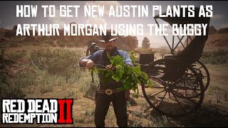 How to get the New Austin Plants and complete Herbalist 9 as Arthur in Chapter 2  RDR2 [upl. by Oguh]