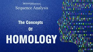 The concepts of Homology  HOMOLOGS ANALOGS ORTHOLOGS PARALOGS XENOLOGS HOMEOLOGS [upl. by Inek]