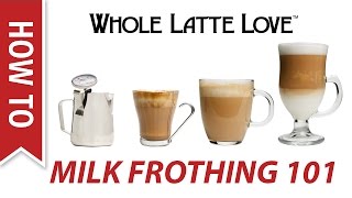 Milk Frothing for Beginners [upl. by Euqinotna]