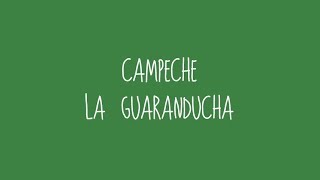 Campeche  La Guaranducha Audio [upl. by Sivel]