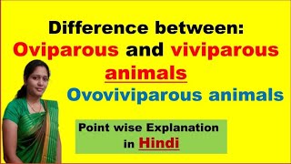 Oviparous Vs Viviparous animals  Ovoviviparous animals  In Hindi [upl. by Naved]