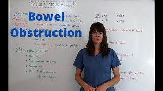 Bowel Obstruction [upl. by Ardnua]