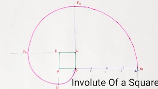 Involute Of A Square [upl. by Nosyt348]