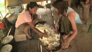 Como Hacer Chicha de Yuca  How to make Yucca Chicha  Amazonia Kichwa Ecuador [upl. by Ihsakat111]