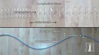 Introduction to Waves [upl. by Stannwood683]