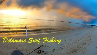 Delaware Surf Fishing  5 Species Caught [upl. by Kehoe]