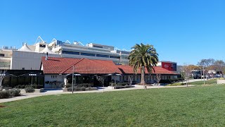 Day racing at Moonee Valley racecourse 🐎 [upl. by Balduin]