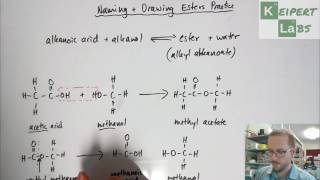 Esters  Drawing Structural Formulae and Naming Practice [upl. by Alessandro816]