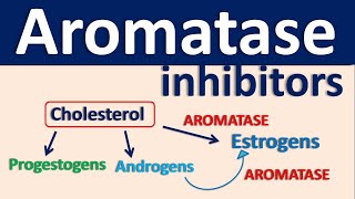 Aromatase inhibitors [upl. by Chapell]