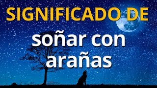 Qué significa soñar con arañas 💤 Interpretación de los Sueños [upl. by Meldon]