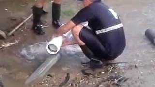 ¿Cómo arreglar una fuga de agua potable 🔧 Le tenemos la solución [upl. by Juli667]