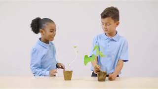 Cambridge Primary Science Digital Classroom Stage 1 – plants [upl. by Abad404]