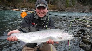 BC Steelhead Fly Fishing  Skeena River British Columbia [upl. by Santini]