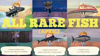 Catching All 6 Rare Fish April  Animal Crossing New Horizons [upl. by Kcerb]