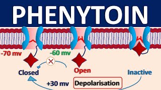 Phenytoin  Mechanism side effects precautions amp uses [upl. by Analaf100]