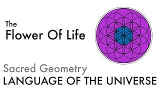 The Flower Of Life  Sacred Geometry [upl. by Ettesoj]