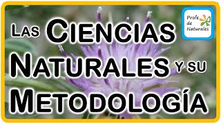 Las Ciencias Naturales y su Metodología [upl. by Shamus]