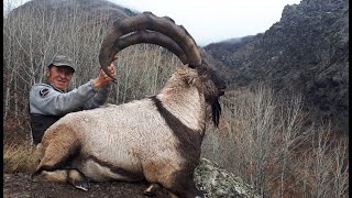 BEZOAR IBEX HUNTING TURKISH FRONTIER amp MUSTAFA YILMAZ [upl. by Conner]