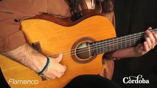 Cordoba Guitars  C5CE Nylon String Guitar [upl. by Amikat]