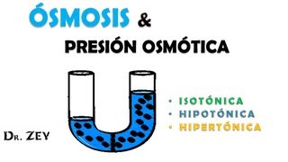 ÓSMOSIS Y PRESIÓN OSMOTICA [upl. by Neeneg]