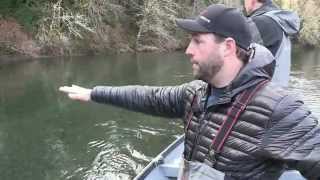 Olympic Peninsula Steelhead [upl. by Eanej]