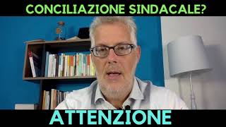 Conciliazione sindacale [upl. by Atilrac]