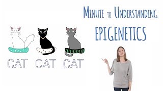 What is epigenetics [upl. by Peg]