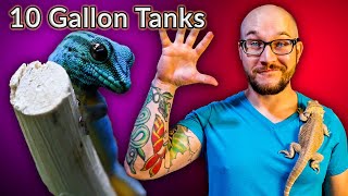 Top 5 Reptiles That Can Live In A Ten Gallon Enclosure FOREVER  Vol 2 [upl. by Stewart]