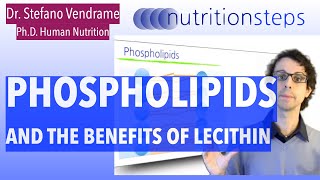 Phospholipids and The Benefits Of Lecithin [upl. by Nealy]